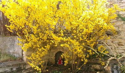 Tady mě nenajdou. *