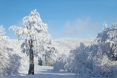 25 - návrat na Pustevny