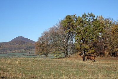 25-konici-s-milesovkou.jpg