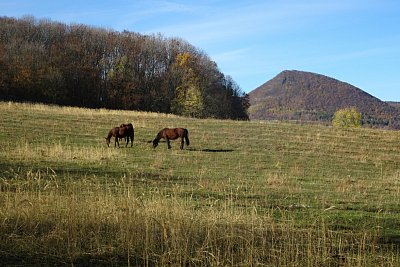 26-konici-s-lipskou-horou.jpg