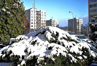 Zima se jen tak nevzdává