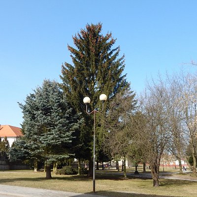 Lampa u Zámeckého parku