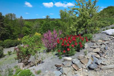 27-Arboretum Makču Pikču