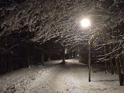 Foto ze startu