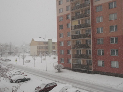 Dnešní ráno v naší ulici