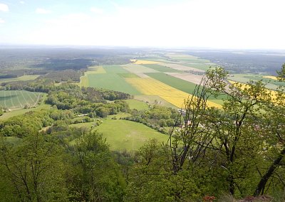 Jarní zeleno žluté vybarvení