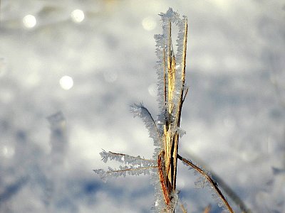Poslední únorová*