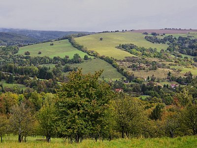 kopa