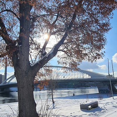 Most v únorovém slunci