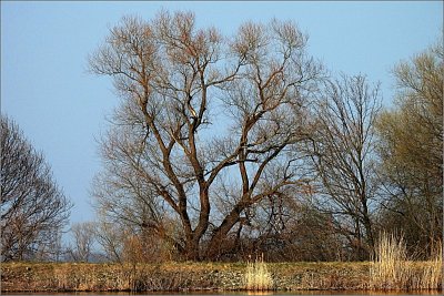 3-hledani-meho-stromu-roku.jpg