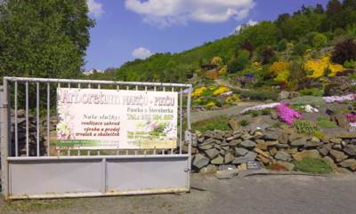 3-Arboretum Makču Pikču