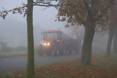 Ranní mlhou na pole