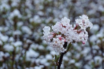 Po březnové přeháňce