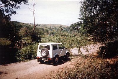 Fidži - padlý strom na silnici