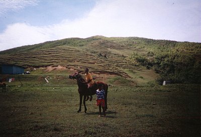 Fidži - chlapec na koni