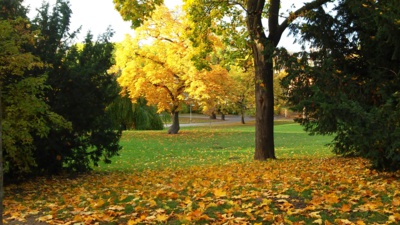 podzim v parku