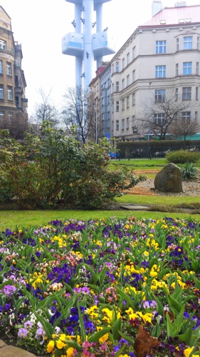 jaro na Žižkově