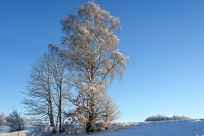 32-moje-oblibena-briza.jpg