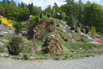 35-Arboretum Makču Pikču