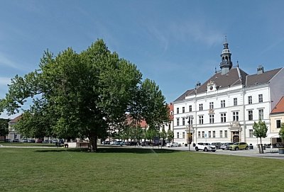 37-66.jpg