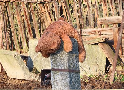38-nedopadni-takto-po-silvestru.jpg