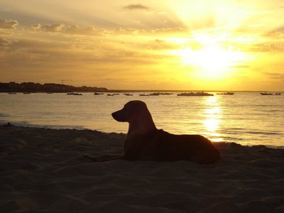 Svítání na kapverdách