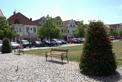 Holoubek  a náměstí v Berouně