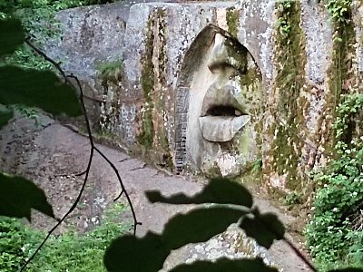 Foto ze startu