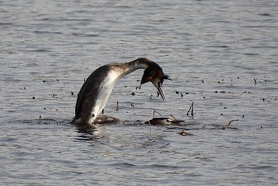 Fotografova kouzelná chvilka