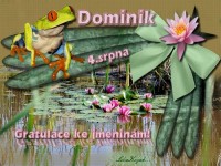 4_8_Dominik