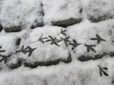 5-stopy.jpg
