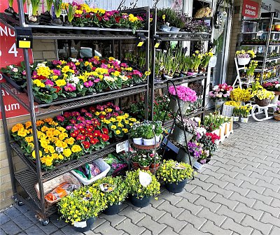 Račte vstoupit do krámečku