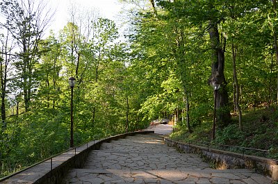 Cesta ke studánce*