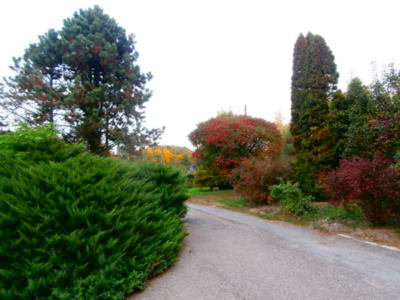 Podzim,stejný záběr