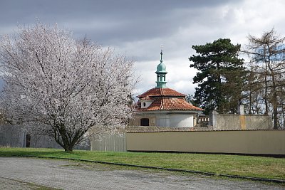 Jaro a kaplička *