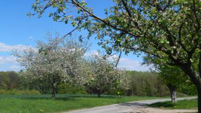 Toulání milovaným Českým rájem