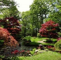 Japonská zahrada v Haagu