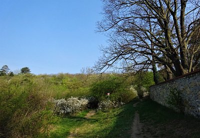 7-dsc00708.jpg