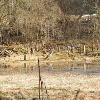 Pohled přes rybníček na fragmenty staveb