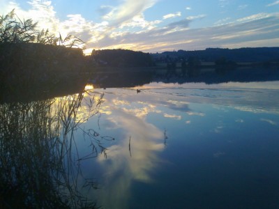 .....u rybníka Velký Vřešťov