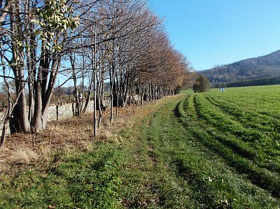 Došli jsme k hřbitovní zdi, vpravo jsou louky pod Biskupskou kupou