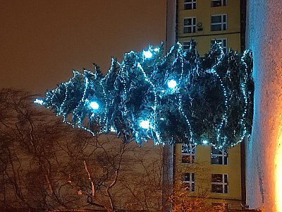Foto ze startu