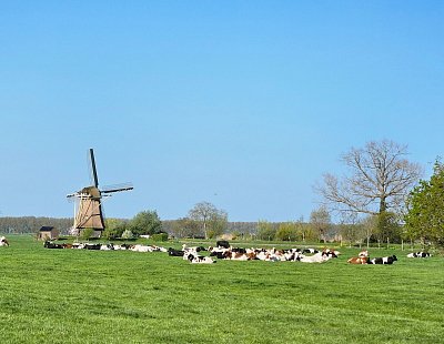 91-1.jpg