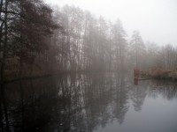 Mlha u rybníka v Mačicích