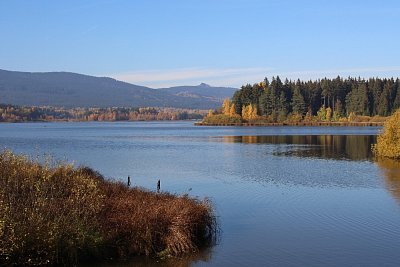 Rybník Olšina