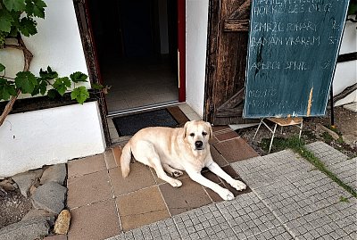 Mám dotaz: "Co si dáte" ?