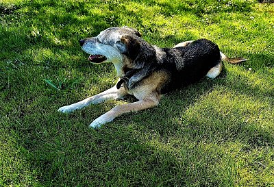 Jsem pořád ve střehu