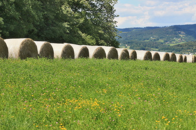 A za chvíli druhé kolo