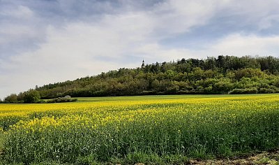 Vintířovský kopeček*