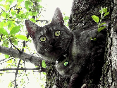 Na návštěvě u sýkorek